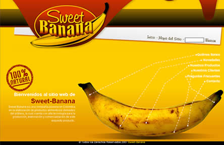 Dise&ntilde;o de paginas web