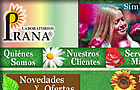 Dise&ntilde;o Sitio Web